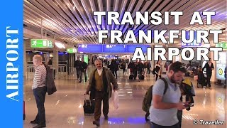 TRANSIT WALK AT FRANKFURT Airport FRA Terminal 1  Connection Flight Transfer Arriving amp Departing [upl. by Truitt]