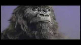 Cadbury Gorilla  In The Air Tonight Extended Mix [upl. by Nikolai]