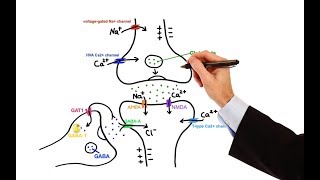 Pharmacology  ANTIEPILEPTIC DRUGS MADE EASY [upl. by Eillas751]