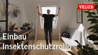 Einbau Insektenschutzrollo ZIL  VELUX [upl. by Kennedy775]