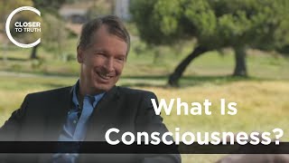 Donald Hoffman  What is Consciousness [upl. by Mccoy]