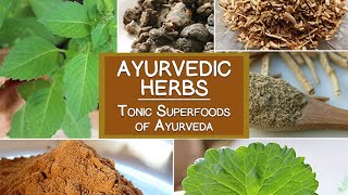 Ayurvedic Herbs The Tonic Superfoods of Ayurveda [upl. by Jodoin19]