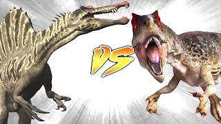 Spinosaurus VS Allosaurus Who Would Win [upl. by Osrick]